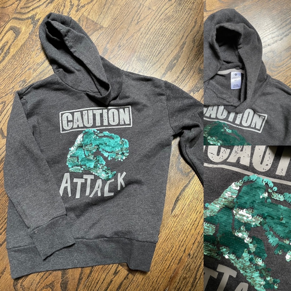 Members mark Dino hoodie size 6/7